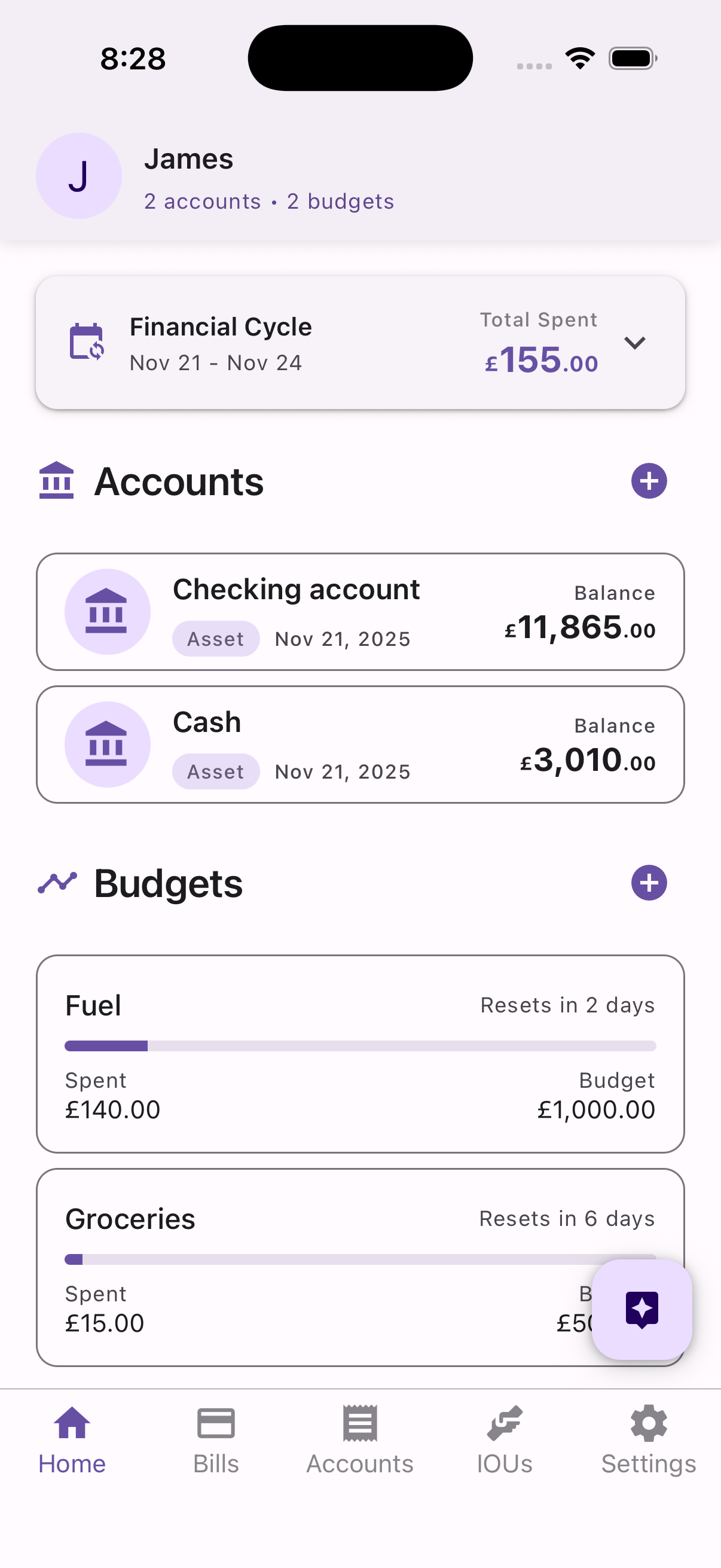 WiseWallet Home Screen